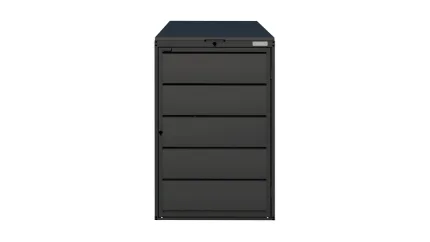 Mülltonnenbox 1er 240 L